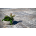 Travertine Paver Premium Silver Tumbled 610x406x30mm